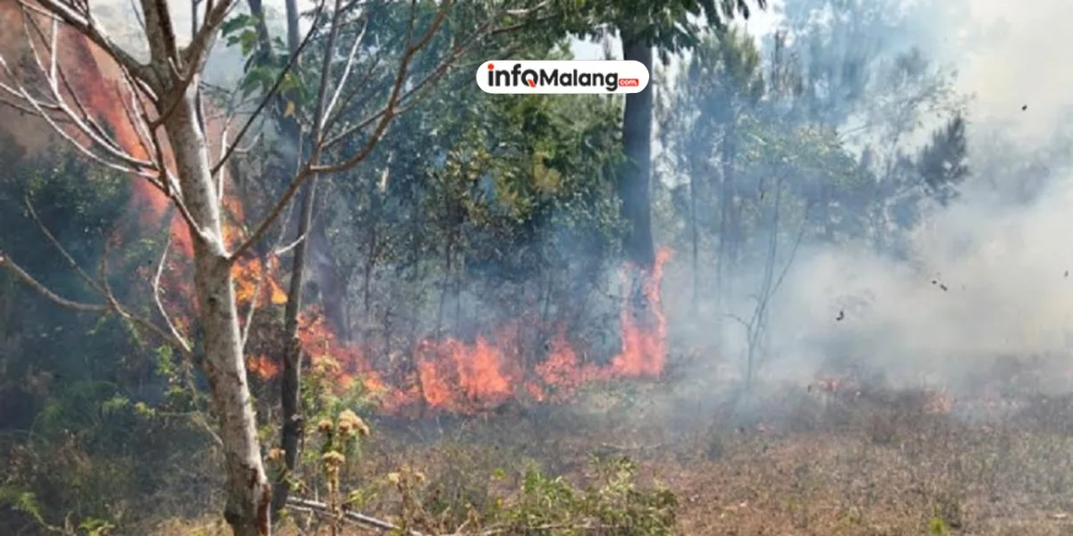 Bencana Alam Indonesia: BNPB Laporkan Enam Kejadian Dalam 24 Jam Terakhir