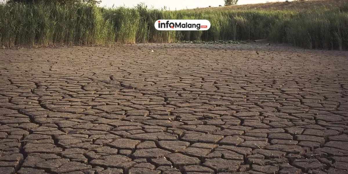 Bencana Kekeringan Meluas di Malang Selatan Meski Musim Hujan Tiba
