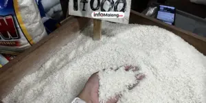 Beras Oplosan Jadi Sorotan, Bapanas Siapkan Regulasi Baru untuk Basminya pada Kamis (31/7/2025)