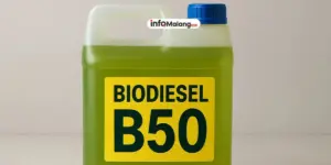 Biodiesel B50 Dijadwalkan 2026, Awal Tahun Kemungkinan Batal Diluncurkan