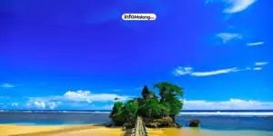 Bukan Hanya Balekambang! 5 Pantai Malang Terfavorit yang Paling Mudah Diakses Roda Empat