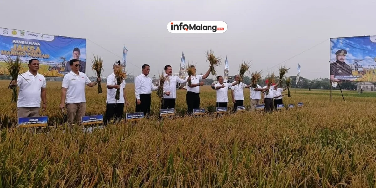 Bulog Malang Serap 3 Juta Kg Beras Petani untuk Kemandirian Pangan