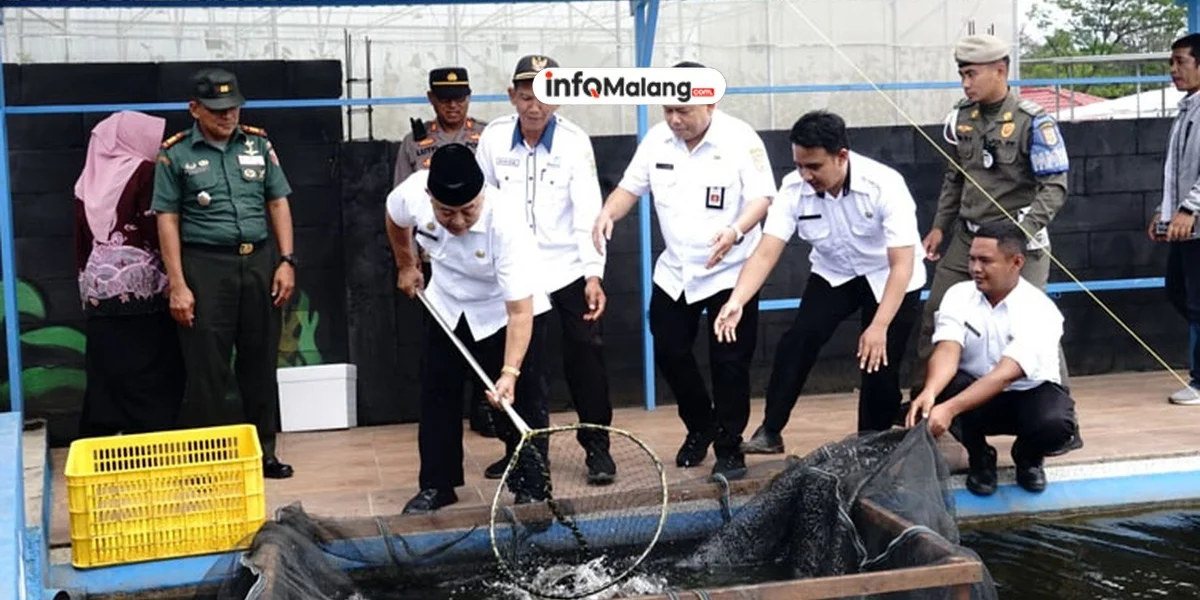 Bupati Malang Panen Nila Dua Ton di Kecamatan Lawang, Wujud Program Ketahanan Pangan