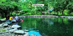 Cafe Sawah Pujon, Destinasi Wisata Yang Tak Pernah Luntur Keindahanya