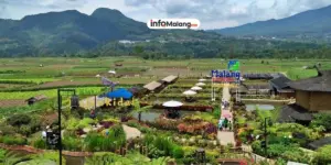 Cafe Sawah Pujon Kidul: Menu, Fasilitas, dan Harga Tiket Masuk