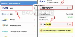 Cara Transfer dari Bank BCA ke Mandiri Tanpa Biaya Administrasi Menggunakan Flip