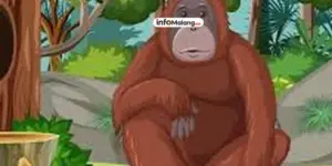 Cerita Dongeng Bahas Orang Tua, Murid Laki-Laki SD Sampai Menangis