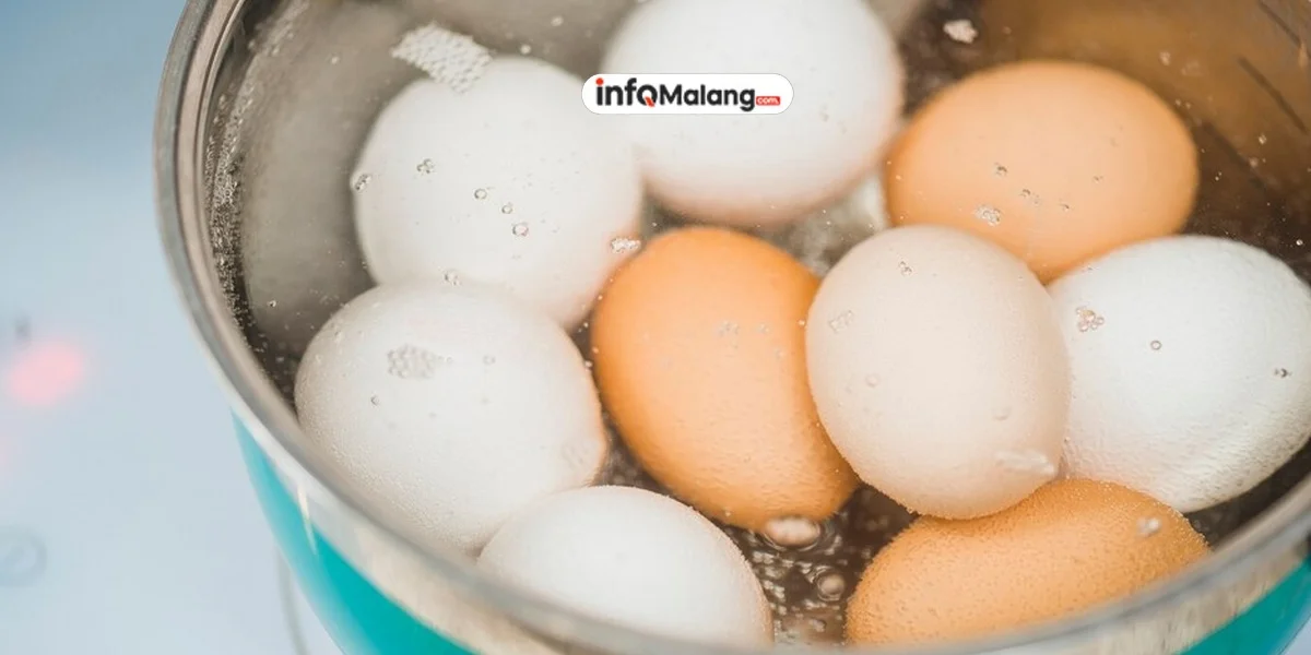 Coba Biasakan Makan 2 Telur Rebus Setiap Hari, Manfaatnya Segudang untuk Kesehatan