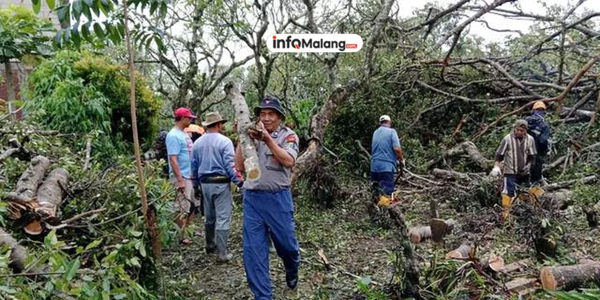 Cuaca Ekstrem, Kota Batu Dilanda Longsor dan Pohon Tumbang