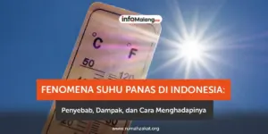 Cuaca Panas Ekstrem: Penyebab dan Dampaknya