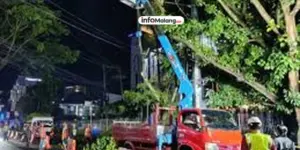 DLH Kota Malang Gencarkan Perempesan Pohon Jelang Musim Hujan, Antrean Capai 400 Titik