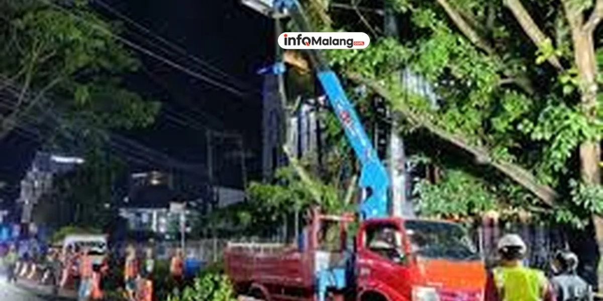 DLH Kota Malang Gencarkan Perempesan Pohon Jelang Musim Hujan, Antrean Capai 400 Titik