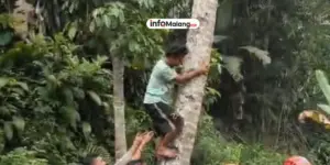 DLH Kota Malang Sesalkan Pembakaran Pohon oleh Oknum Masyarakat