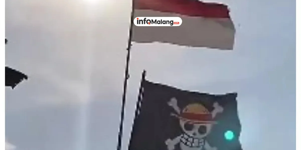 DPR Sebut Fenomena Pemasangan Bendera One Piece Sebagai Upaya Pecah Belah Bangsa