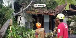 Dahsyat Puting Beliung Terjang Urek-Urek Gondanglegi, Empat Rumah Warga Rusak Berat