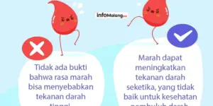 Darah Tinggi Penjelasan Lengkap Penyebab Pengobatan dan Larangan
