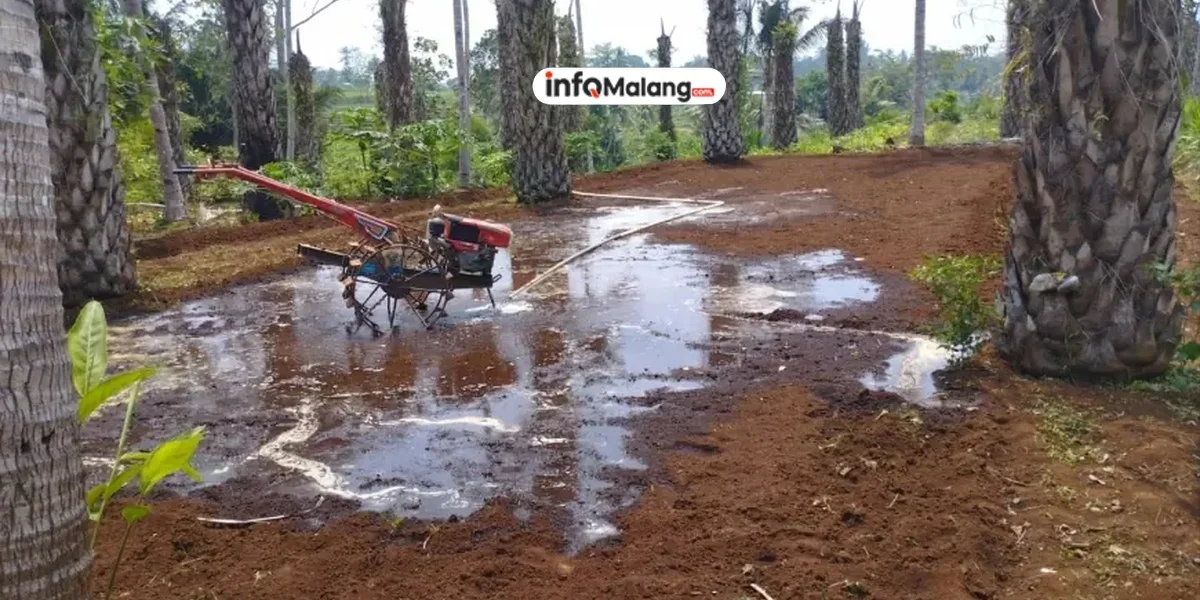 Dari Kekeringan hingga Pengeroyokan, Peristiwa Mengguncang Kabupaten Malang