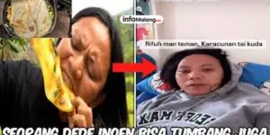 Dede Inoen Sang Predator Puncak Rantai Makanan Dunia Hiburan