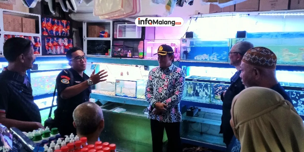 Dispangtan dan KKP RI Ambil Langkah Tegas, Musnahkan Ikan Aligator di Malang