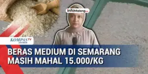 Distribusi Tersendat, Harga Beras Di Indonesia Masih Tinggi di Pasaran