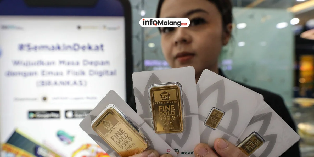 Dividen BRI 2025: Bakal Jumbo? Simak Estimasi Terbarunya!