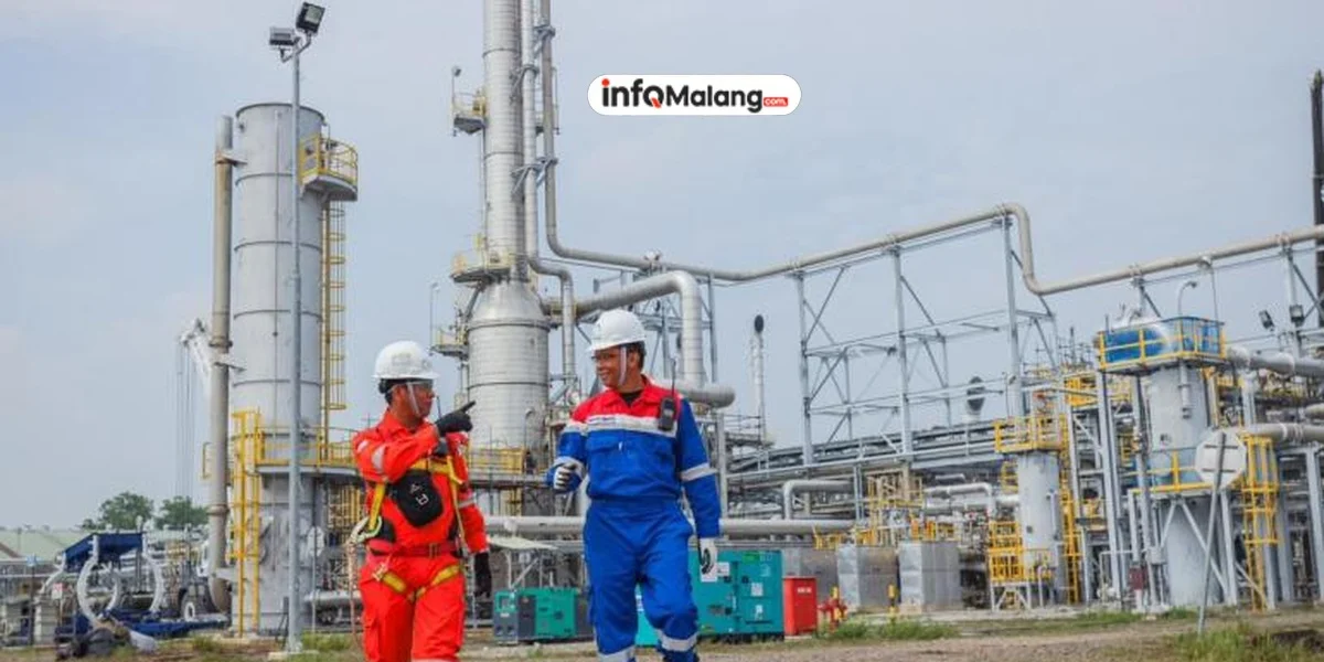 ELNUSA Suntik Dana Rp 594 Miliar untuk Kuasai Pasar Energi!