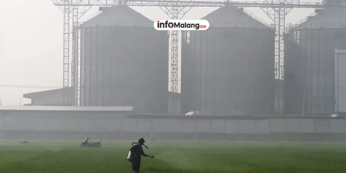 Ekonomi Kabupaten Malang Melesat! Triwulan II Tembus Angka Pertumbuhan 5,96 Persen