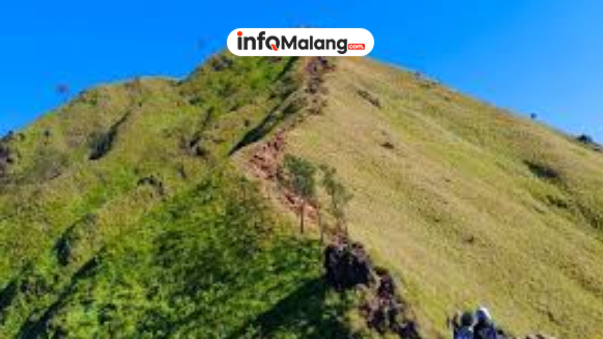 Eksplorasi Bukit Lincing untuk Petualangan Alam yang Menenangkan