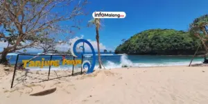Eksplorasi Keindahan Alam di Pantai Tanjung Penyu Mas