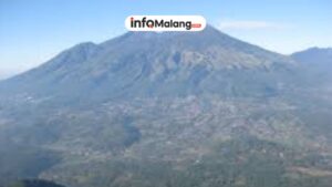 Tips Persiapan Mendaki Gunung Lawu Agar Aman dan Menyenangkan