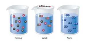 Fakta Menarik tentang Larutan Elektrolit dan Nonelektrolit