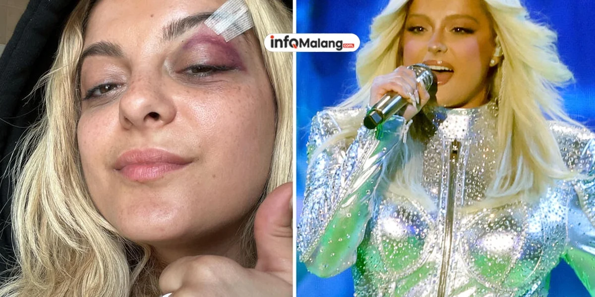 From Bebe Rexha to Steve Lacy: why are fans throwing phones at musicians?