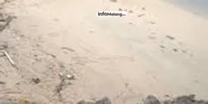 Gak Nyangka! Pemilik Rumah Ini Tunjukkan Lokasi Rumahnya yang Ada di Pinggir Laut