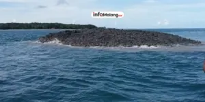 Gempa Magnitudo 6,7 Guncang Kepulauan Tanimbar, Warga Panik!