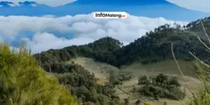 Gunung Buthak vs. Gunung Panderman: Pilihan Pendakian Terbaik untuk Pemula