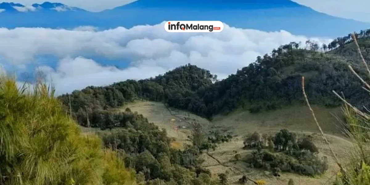 Gunung Buthak vs. Gunung Panderman: Pilihan Pendakian Terbaik untuk Pemula