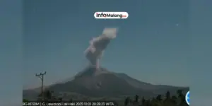 Gunung Lewotobi Erupsi Besar, Kolom Abu Capai 18 Km dan Warga Diminta Siaga