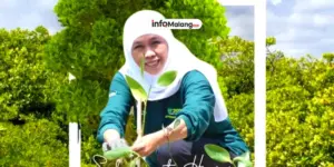 HKTI Ajak Petani Turen Tanam Padi Unggul, Upaya Tingkatkan Produksi Beras