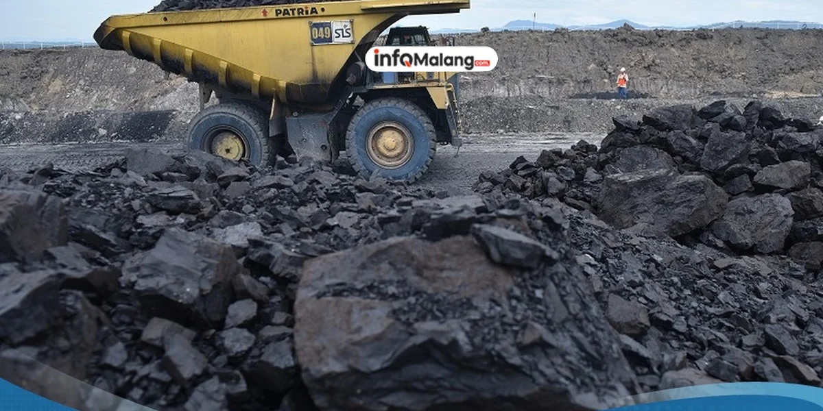 Harga Batubara Jeblok! Investor Incar Dividen Jumbo!