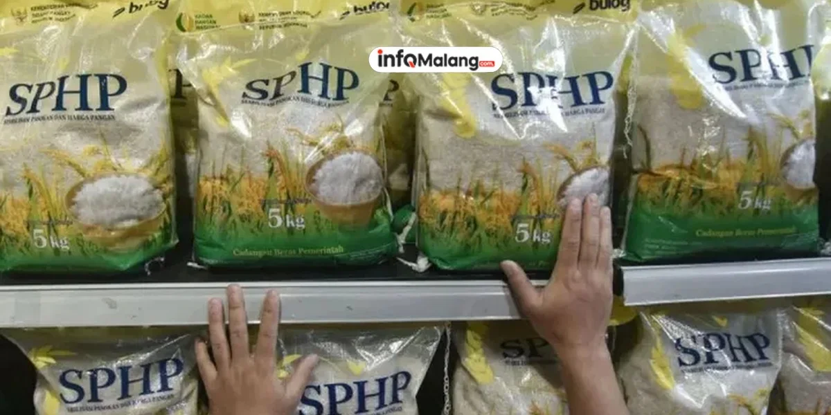 Harga Beras Medium Naik, Kebijakan Baru Bapanas Resmi Berlaku di Seluruh Daerah