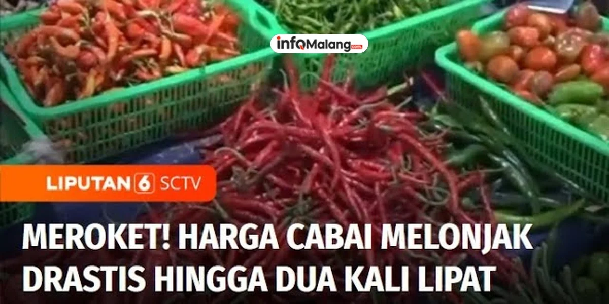 Harga Cabai Melonjak Drastis, Pemkot Malang Siapkan Langkah Intervensi