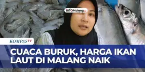 Harga Ikan Laut di Malang Naik Akibat Cuaca Buruk