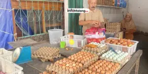 Harga Telur Stabil: Kabar Baik untuk Peternak dan Konsumen