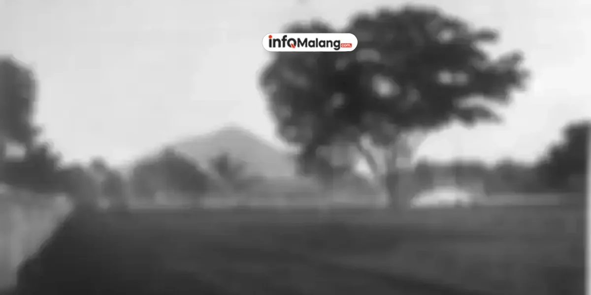 Harta Karun Rp 15 Triliun Hilang? Kisah Pilu Penemu Berlian Raksasa!