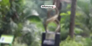 Harta Karun Rp 15 Triliun Raib! Nasib Penemunya Miris!