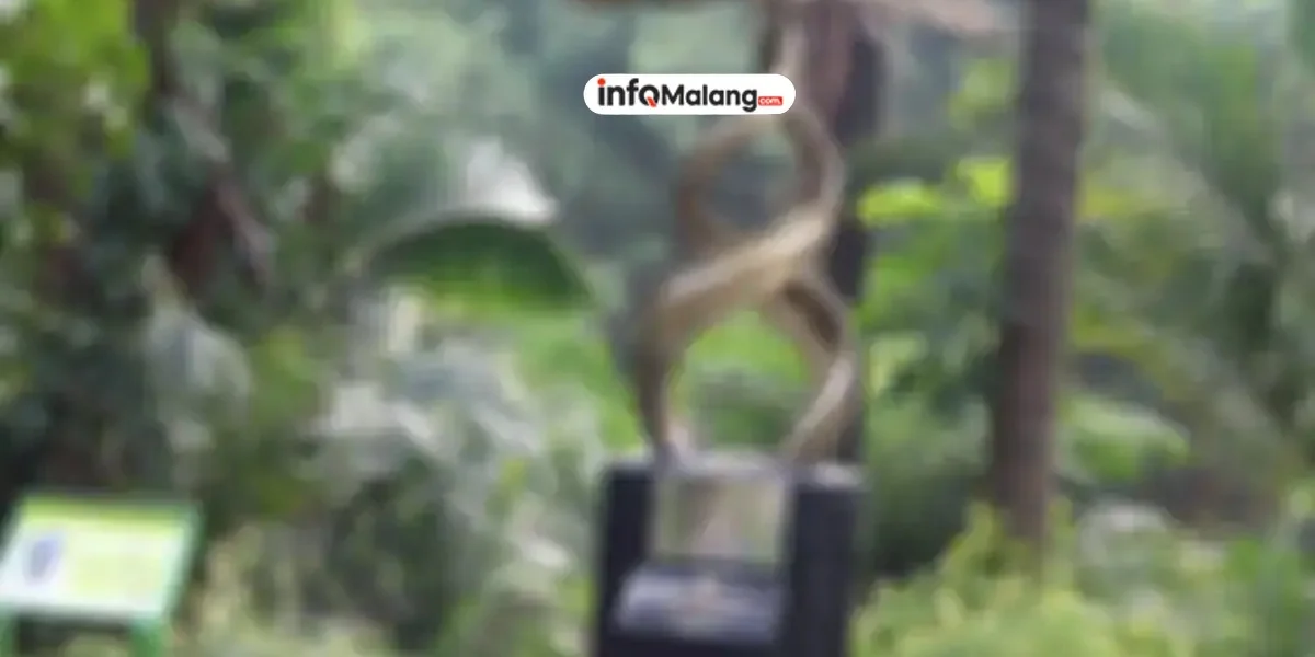 Harta Karun Rp 15 Triliun Raib! Nasib Penemunya Miris!