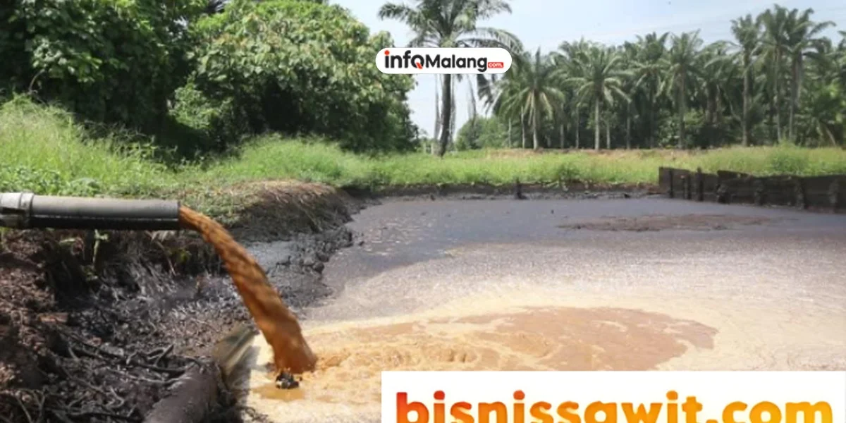 Harta Karun Sawit Indonesia: Tantangan dan Peluang di Tahun 2025!