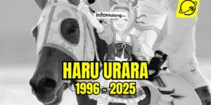 Haru Urara Tutup Usia, Dunia Balap Kuda dan Komunitas “Umamusume” Berduka