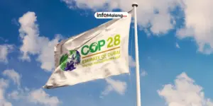 Heboh! Tak Cuma Indonesia, Negara Tetangga Juga Wajibkan 100% Devisa Masuk Negeri!