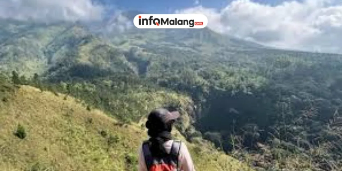 Hidden Gem Budug Asu, Healing Terbaik di Puncak dengan Hutan Pinus dan Udara Paling Dingin di Malang